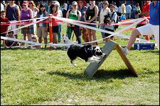 2009_bark_in_the_park_010