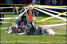 2009_bark_in_the_park_011