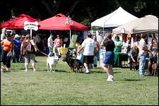 2009_bark_in_the_park_016