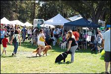 2009_bark_in_the_park_020