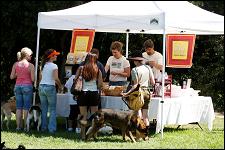 2009_bark_in_the_park_024