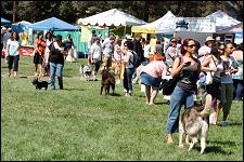 2009_bark_in_the_park_031