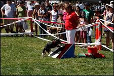 2009_bark_in_the_park_034