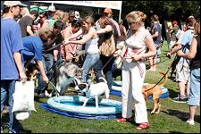 2009_bark_in_the_park_038