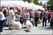 2009_redwood_city_pet_006