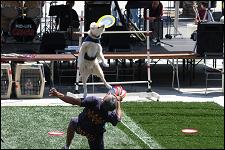 2009_redwood_city_pet_010