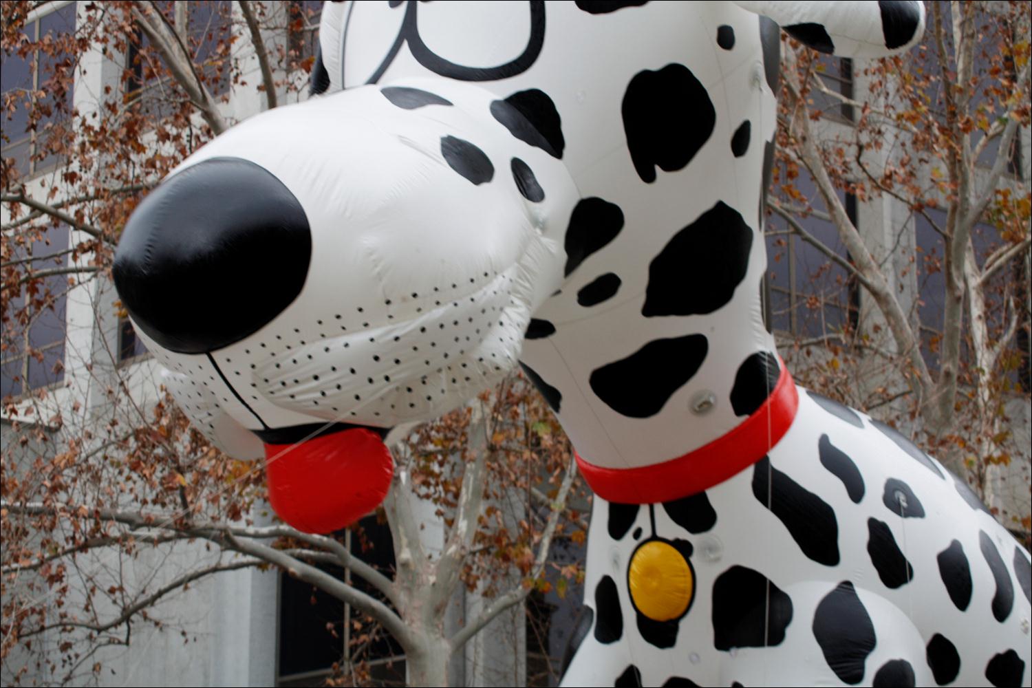 2009_san_jose_holiday_009.jpg