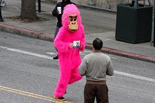 2010_san_francisco_bay_to_breakers_001