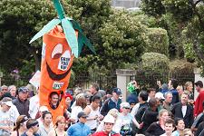 2010_san_francisco_bay_to_breakers_017