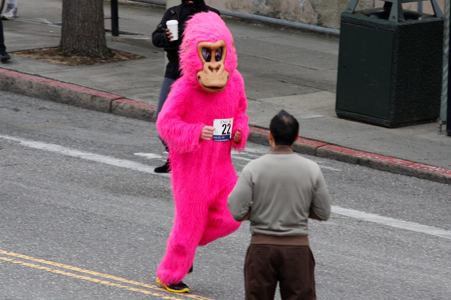 2010_san_francisco_bay_to_breakers_001.jpg