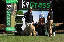 2010_bark_in_the_park_041