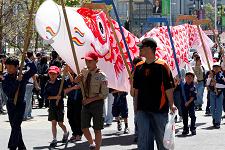 2010_cherry_blossom_festival_002