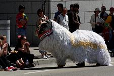 2010_cherry_blossom_festival_046