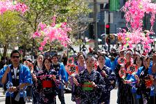 2010_cherry_blossom_festival_050