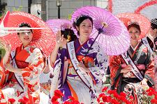 2010_cherry_blossom_festival_054