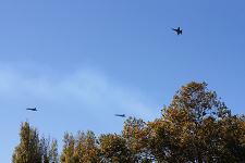 2010_san_francisco_fleet_week_017