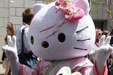 2011_cherry_blossom_013