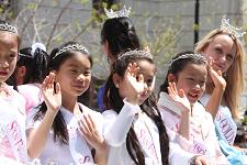 2011_cherry_blossom_019