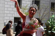 2011_cherry_blossom_035