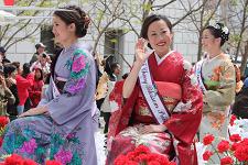 2011_cherry_blossom_043