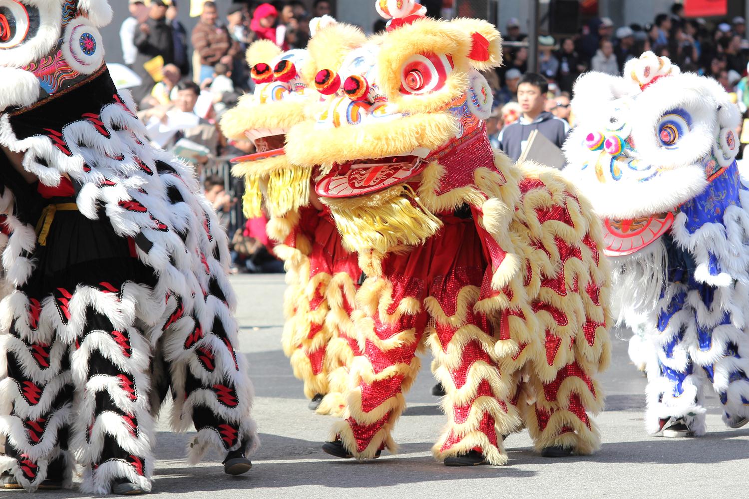 2011_vietnamese_spring_festival_031.jpg