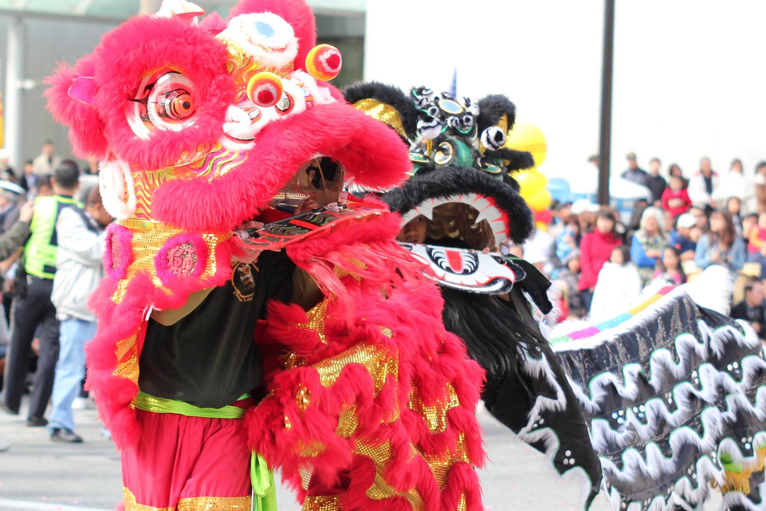 2011_vietnamese_spring_festival_062.jpg