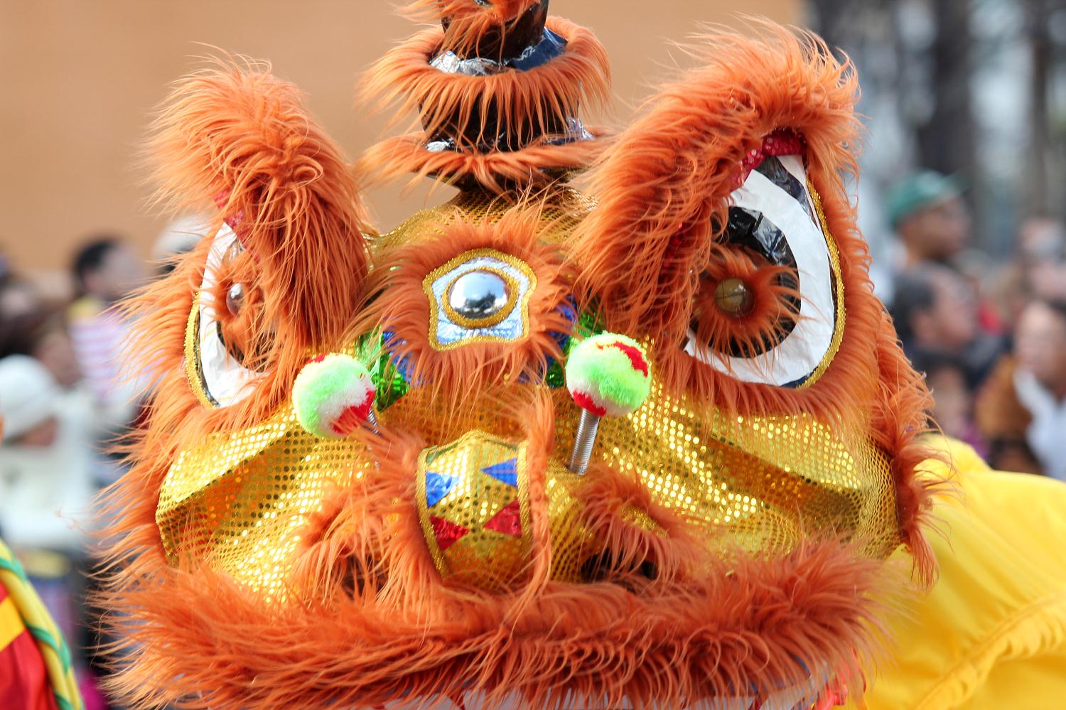 2011_vietnamese_spring_festival_071.jpg