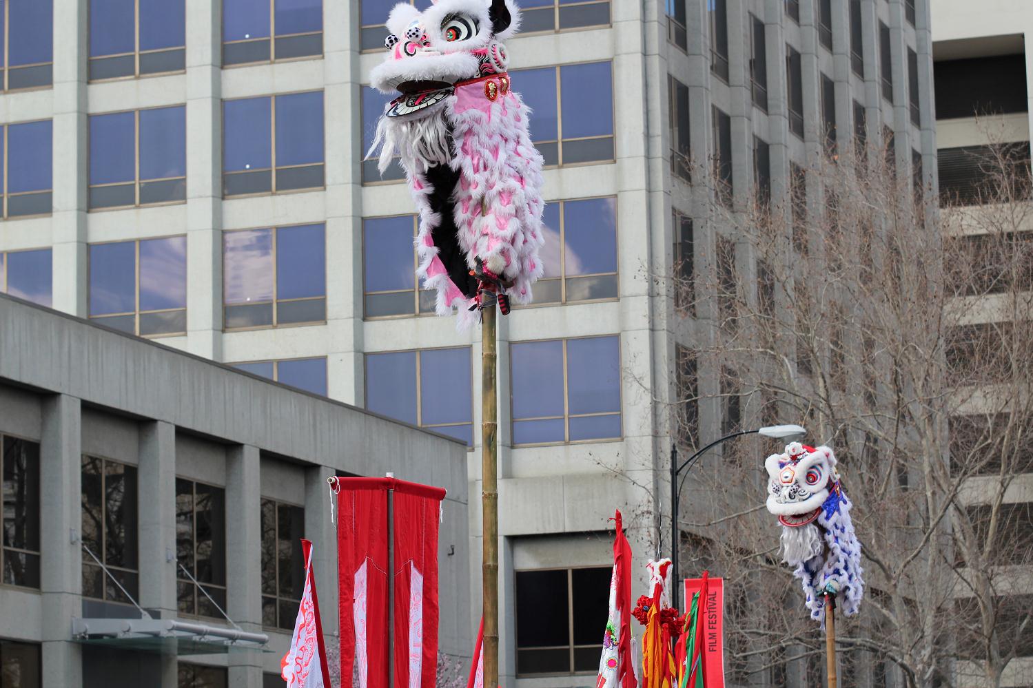 2011_vietnamese_spring_festival_082.jpg