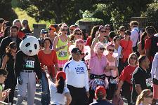 2012_bay_to_breakers_129