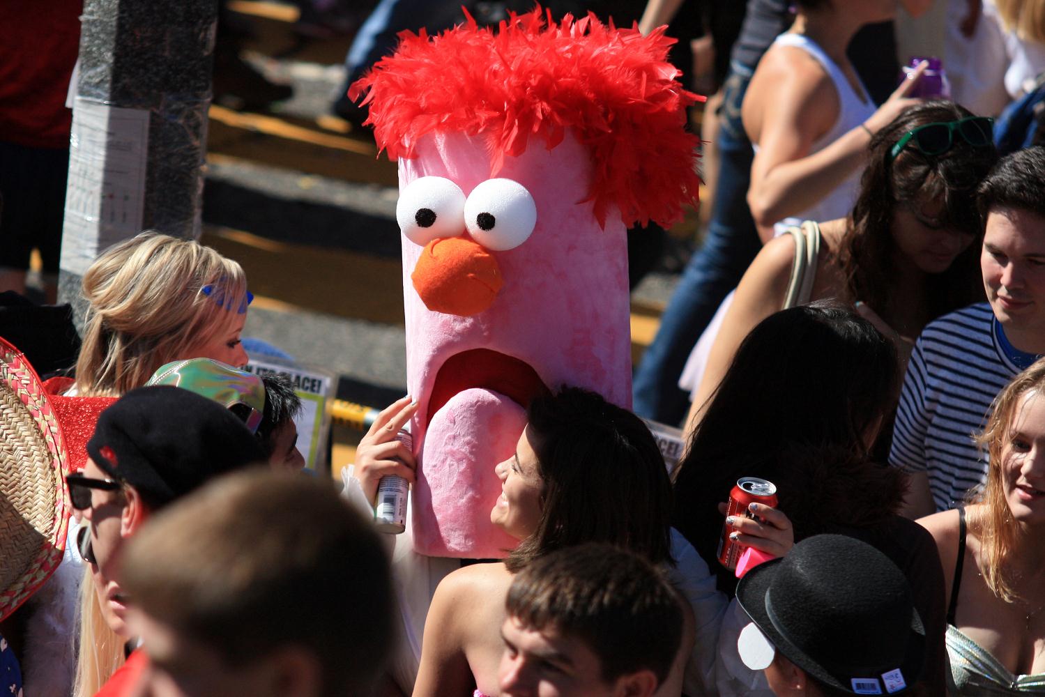 2012_bay_to_breakers_258.jpg