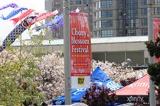 2012_san_francisco_cherry_blossom_festival_068